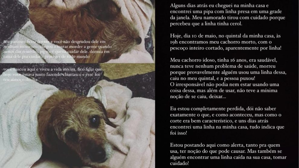 exemplo (1) Boca no Trombone 