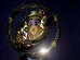 Mundial Boca no Trombone Mundial