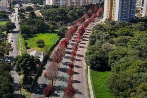 Previsão do Simepar é de maio mais seco e mais quente no Paraná Boca no Trombone Previsão do Simepar é de maio mais seco e mais quente no Paraná