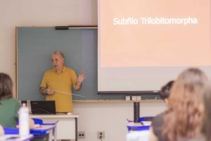 Oportunidade é voltada a graduados que desejam vivência na docência universitária