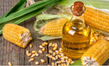 agroprodutosnãotradicionais