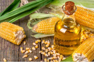 agroprodutosnãotradicionais Boca no Trombone agroprodutosnãotradicionais