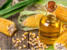 agroprodutosnãotradicionais Boca no Trombone agroprodutosnãotradicionais