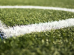 campo cara-cará Boca no Trombone campo cara-cará