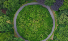 circular