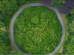 circular Boca no Trombone circular
